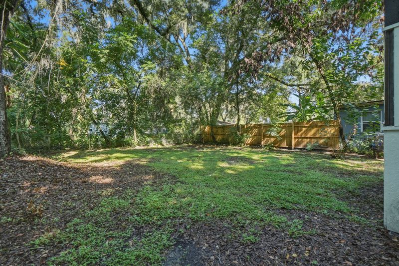 Backyard